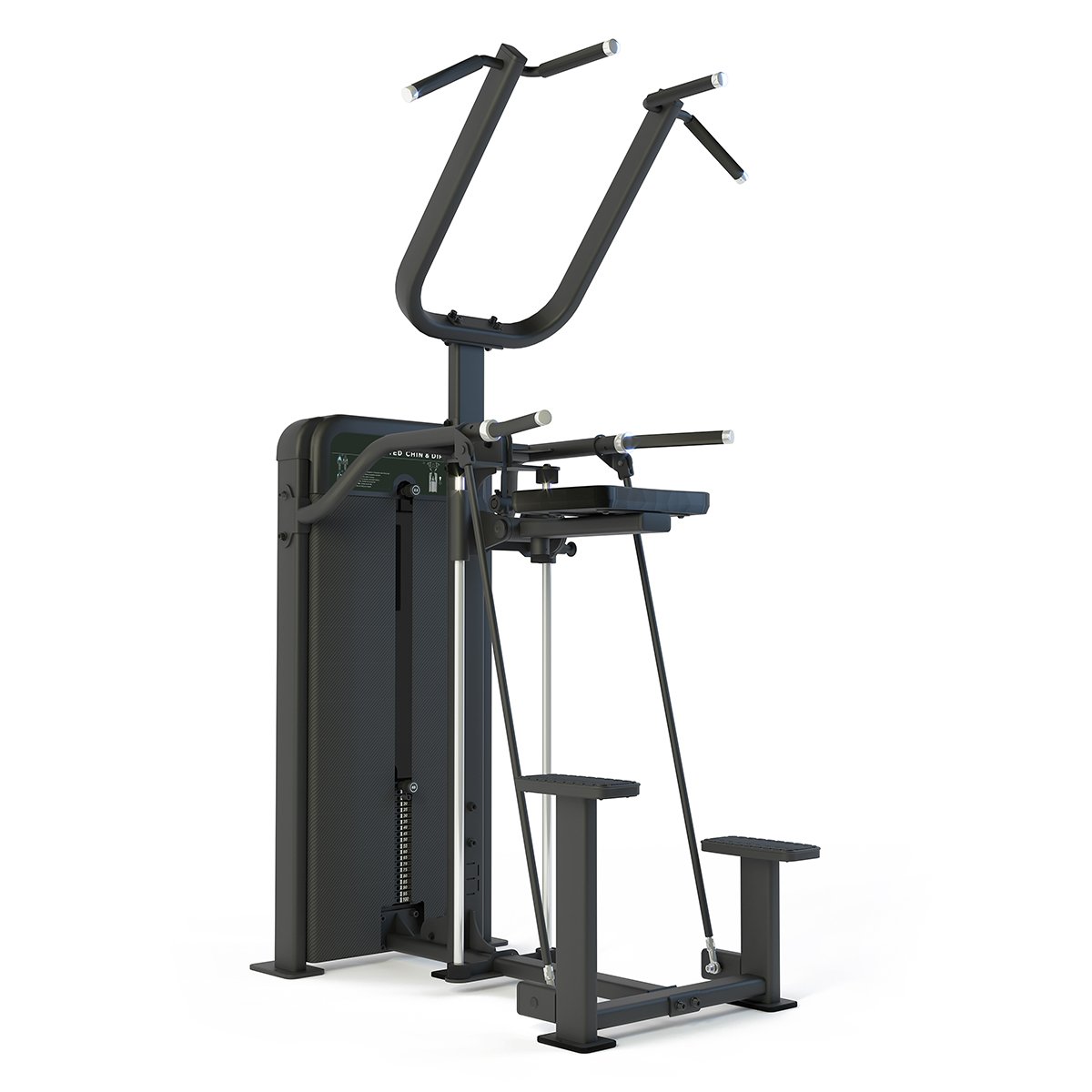 Traction et Dips Assistés Classic 1×80 kg